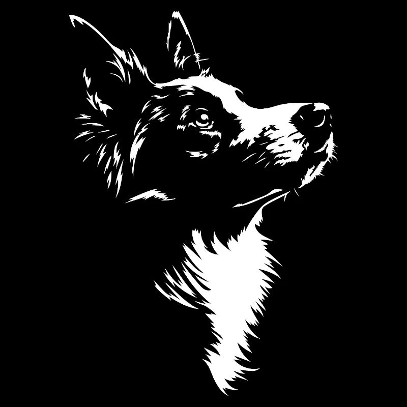 Border Collie Silhouette Hütehunde Hunde Wilsigns