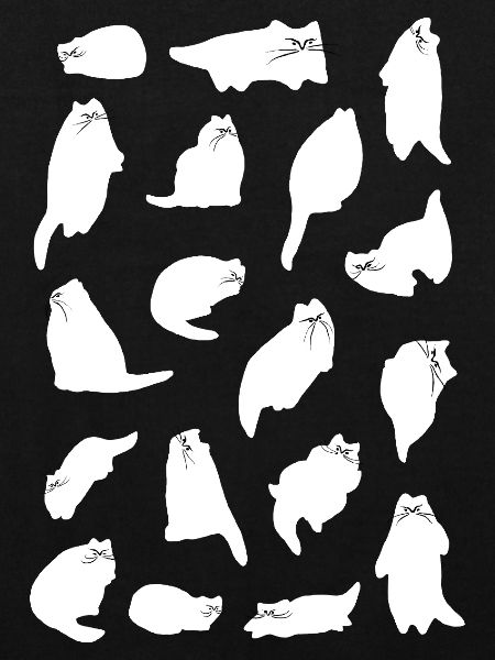 ÉNERGIE CHAT BLANC