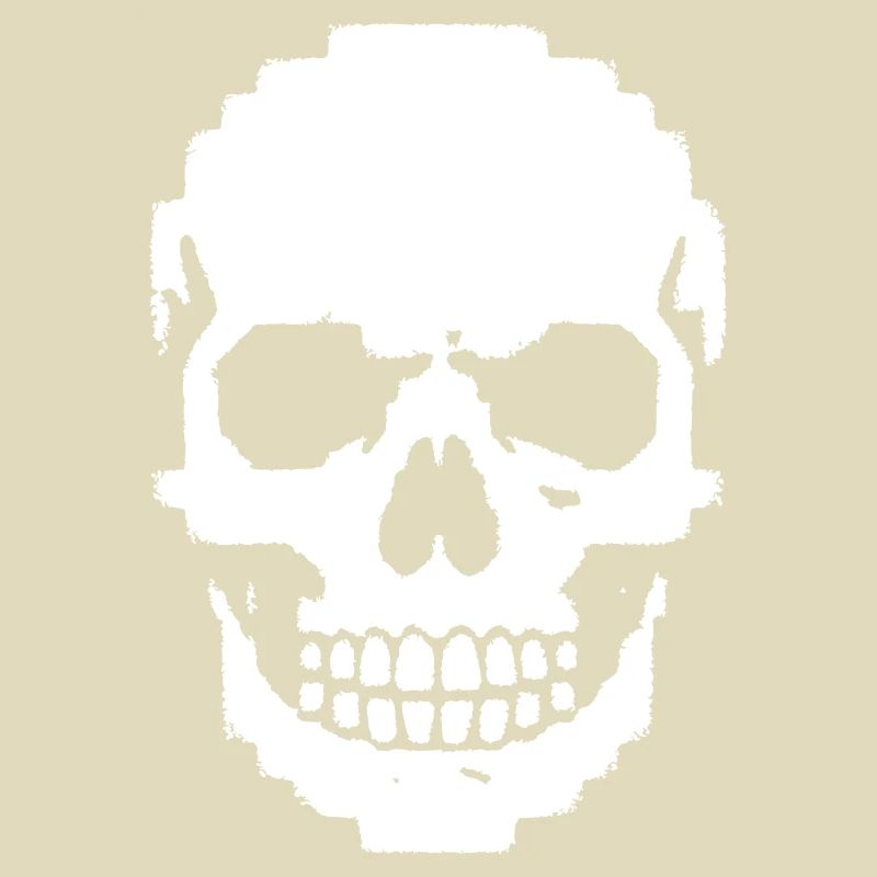 Crâne Pixel Crâne 8-Bits