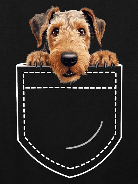Chien Airdale Terrier