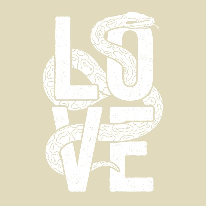 King Python Snakes LOVE Terrarium Python