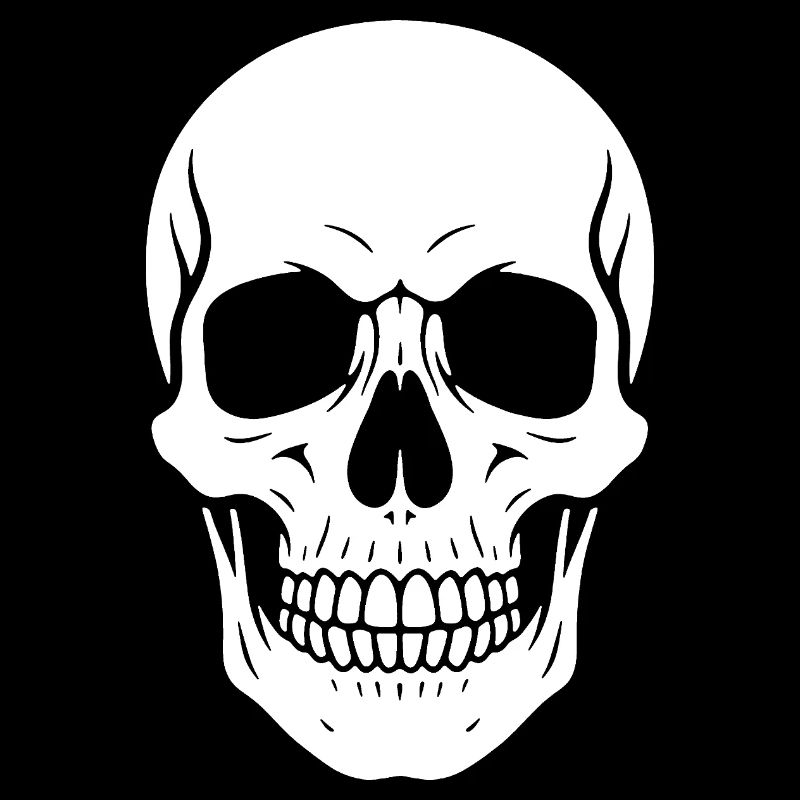 Skull Silhouette Graphic