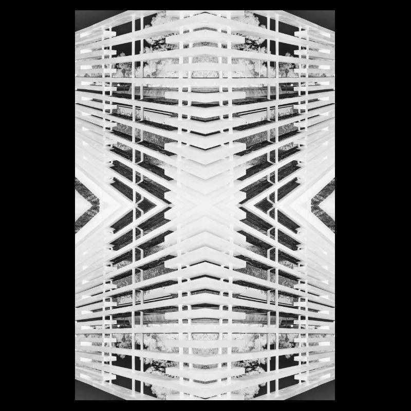 Bois abstrait V.2