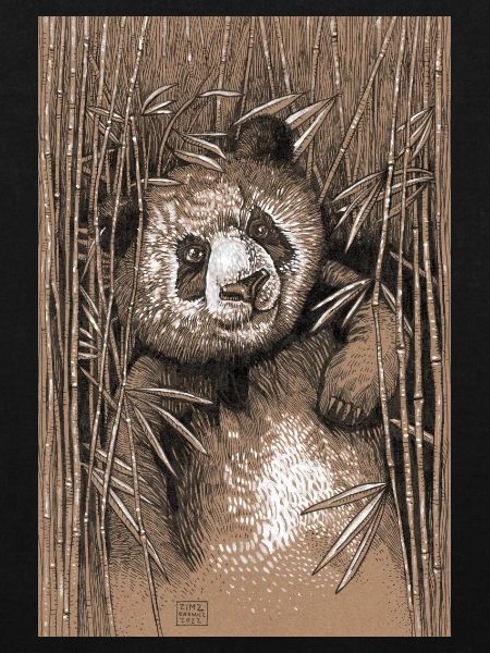 PANDA 02