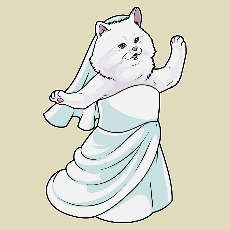 Chat persan robe de mariée