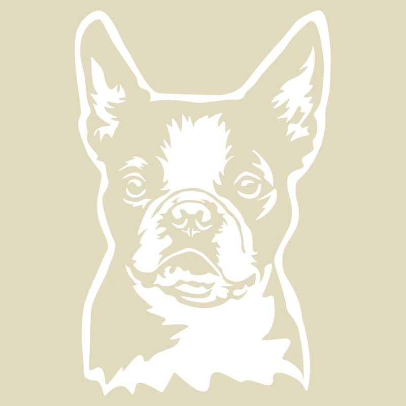 Tête de Boston Terrier « Black Edition »