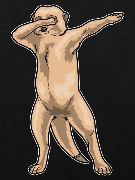 Danse hip hop suricate