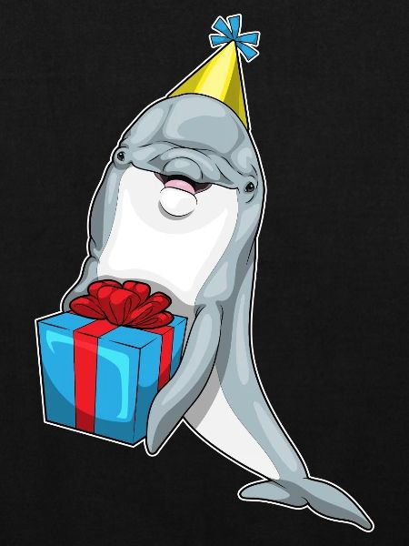 Dolphin Birthday Package