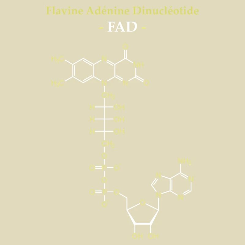 ADF Flavin Adenine Cofactor