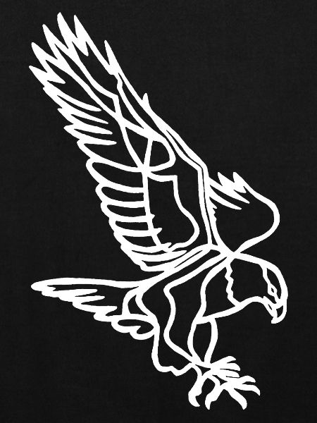 Aigle blanc en vol