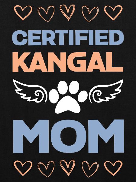 Kangal Mama certifié