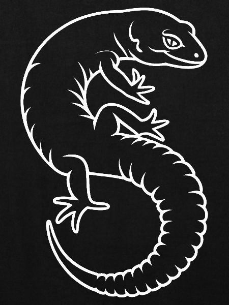 Gecko Silhouette Kontrast