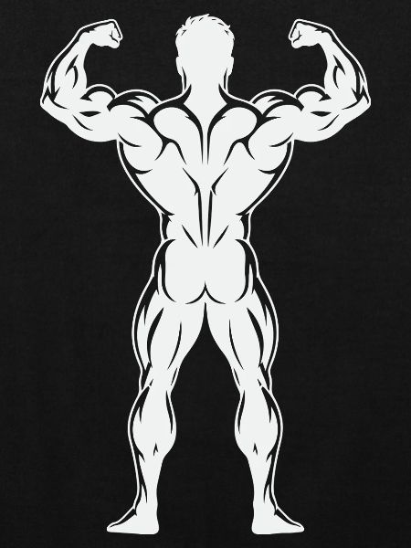  Rückenprint: Bodybuilder-Trainings,