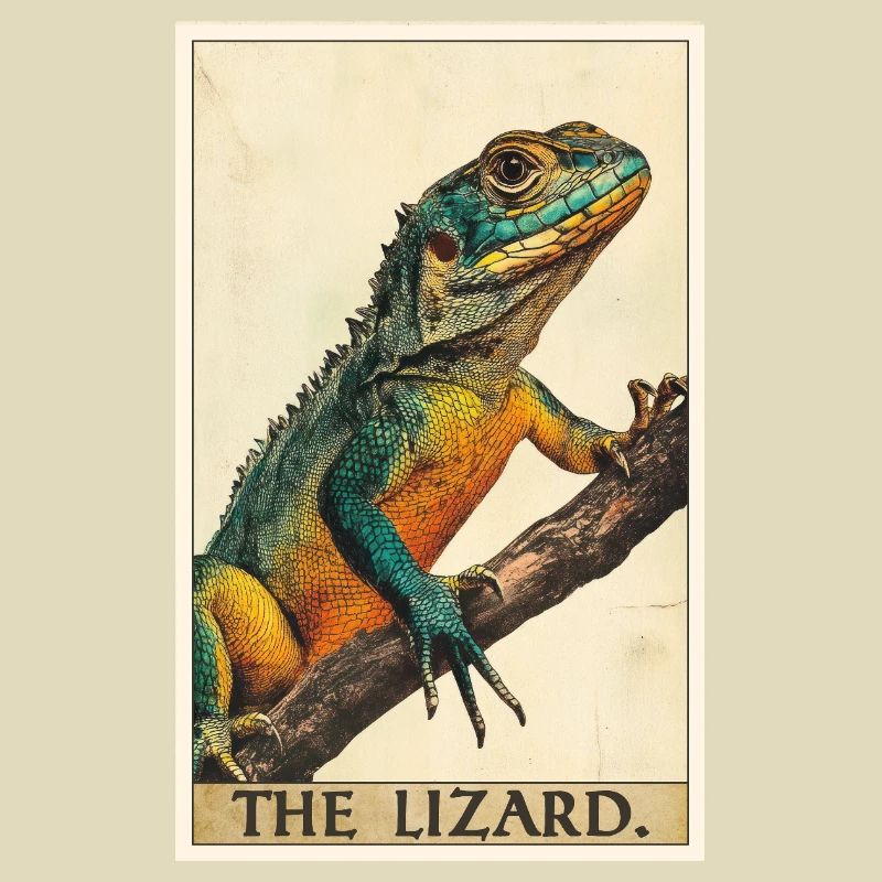 Lizards Lizard