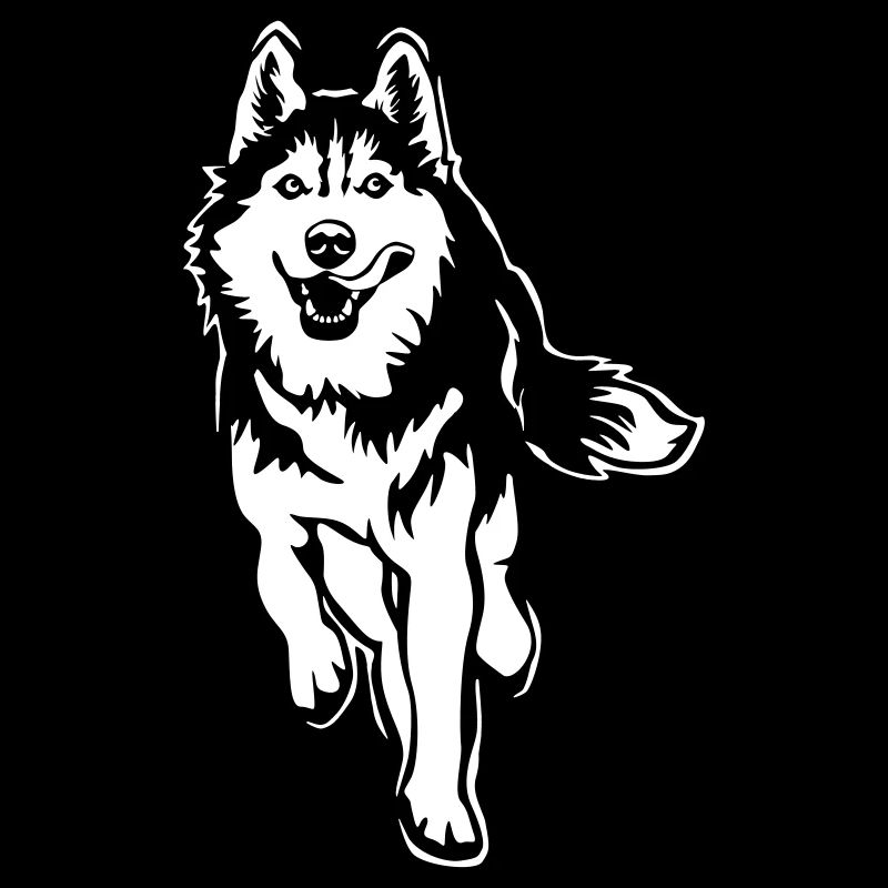 Husky «Black Edition»
