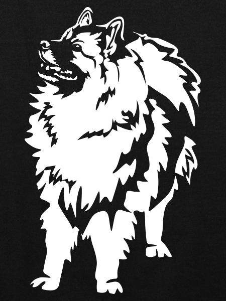 Wolfsspitz « Édition Noire »