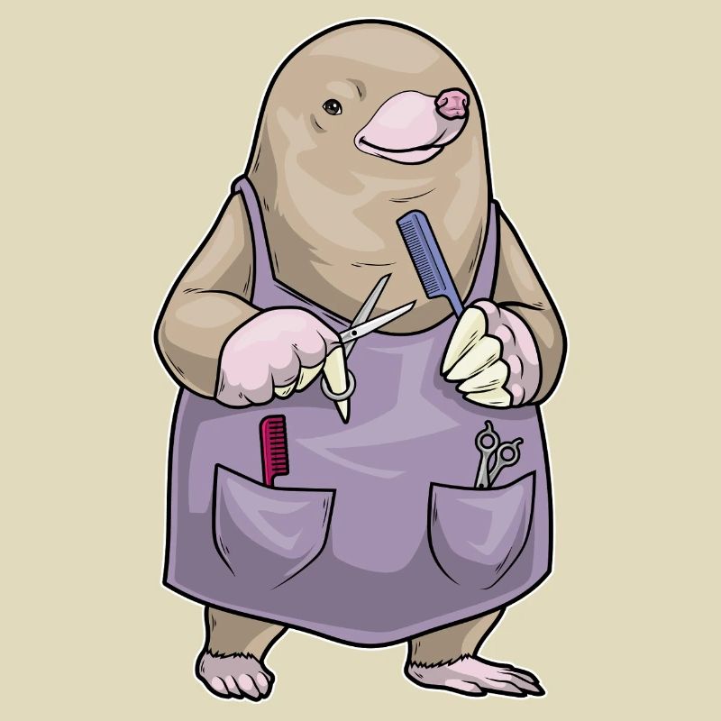 Peigne et ciseaux de coiffeur Mole