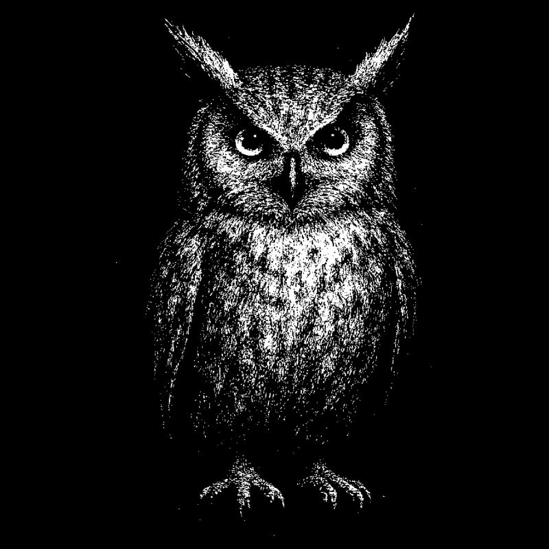 Ein Uhu