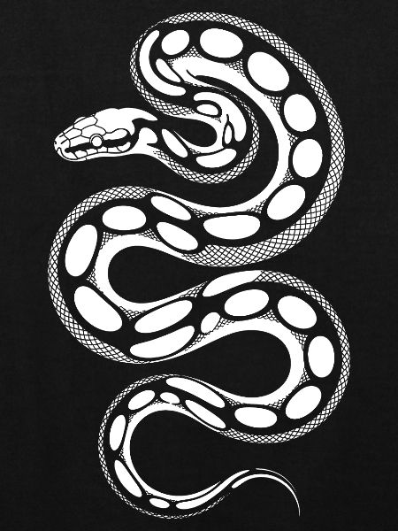 Schlangenspirale Print