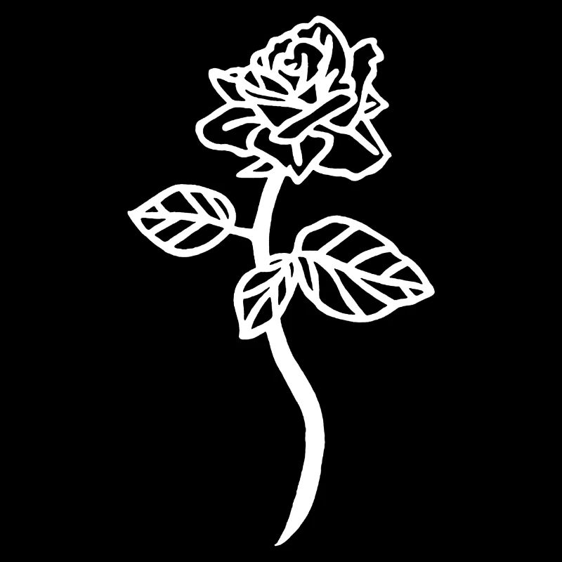 La rose blanche