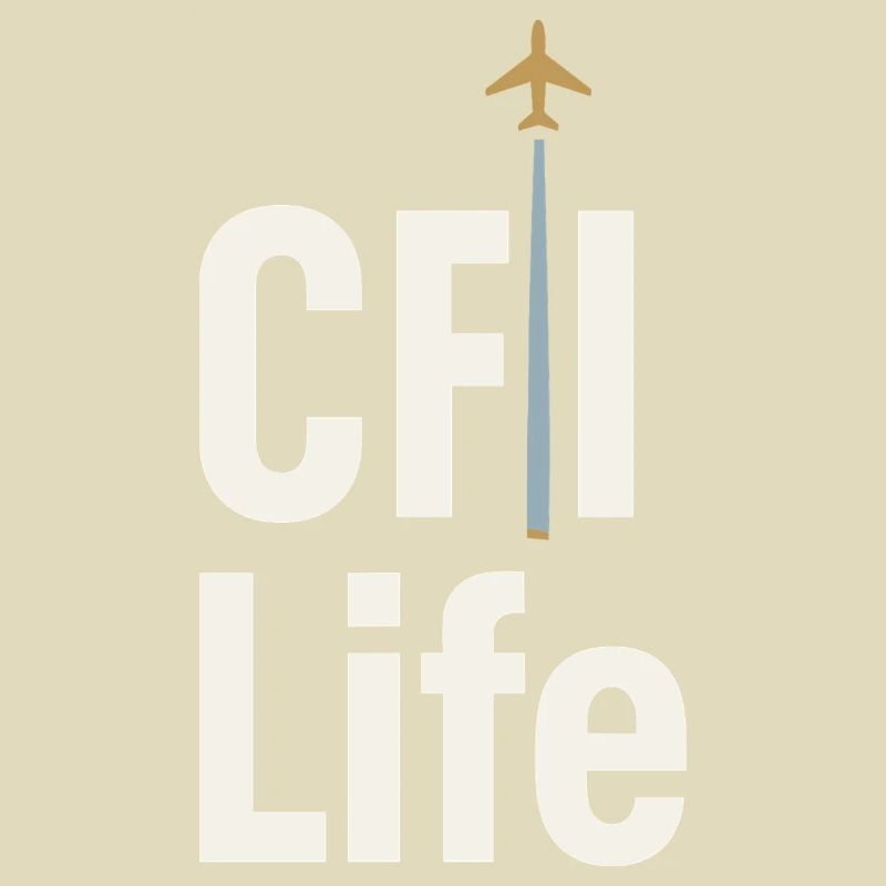 Flight Instructor Cfi Pilot Aviation Instructor
