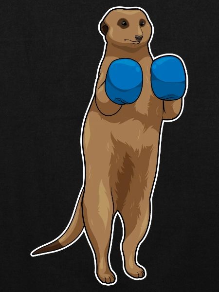 Erdmännchen Boxer Boxhandschuhe Boxen