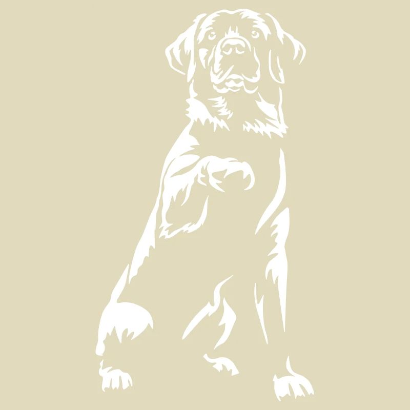 Labrador "Black Edition"