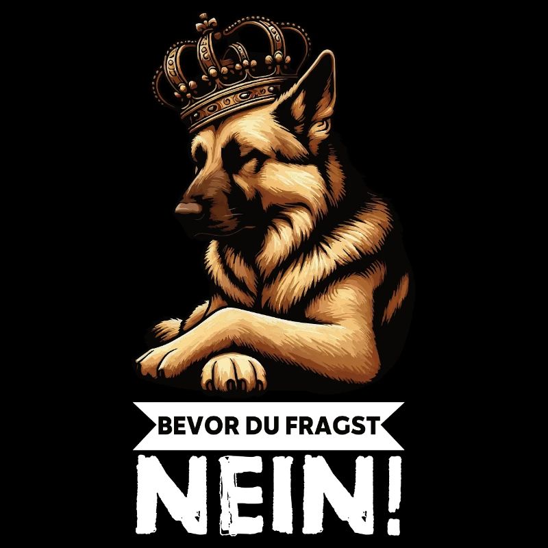 Before you ask German Shepherd Shepherds