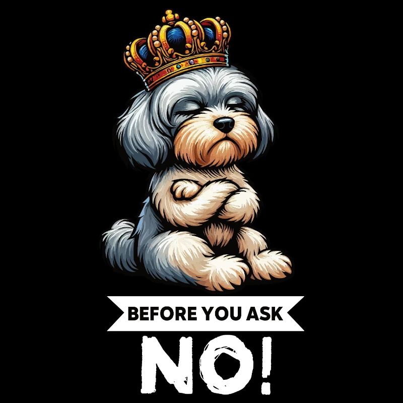 Avant de demander Havanese Havanese Keepers Havanese