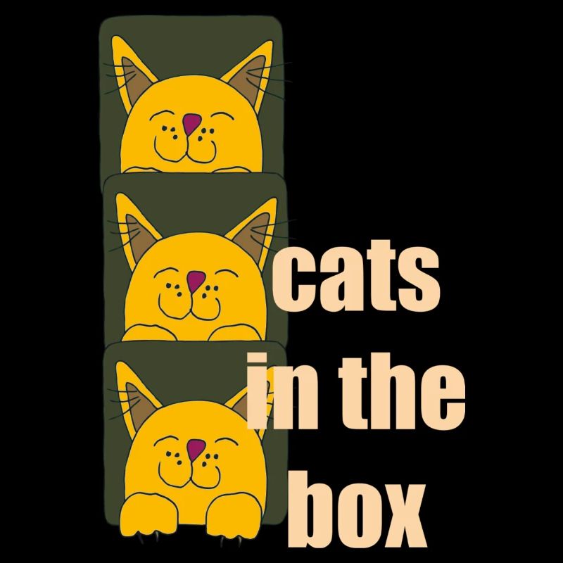 chats dans la boîte