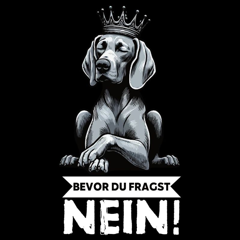 Avant que vous ne demandiez : pas de propriétaire de Weimaraner Weimaraner