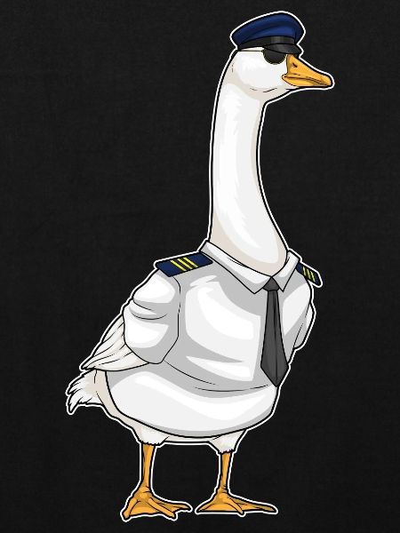 Capsule de pilote canard