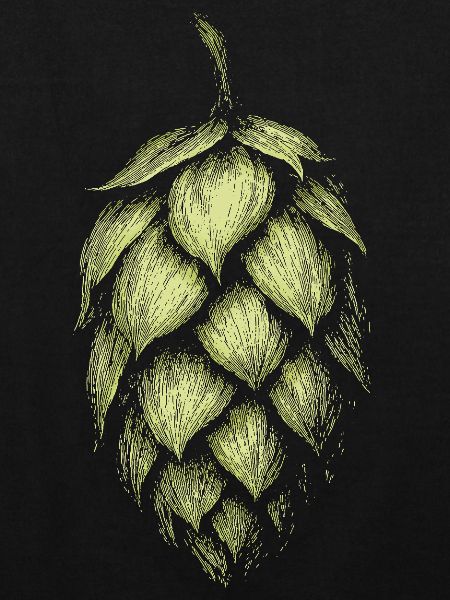 Hopfen