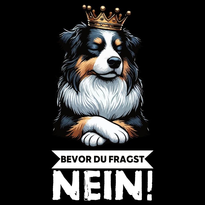 Bevor Du Fragst Australian Shepherd Aussie Aussie