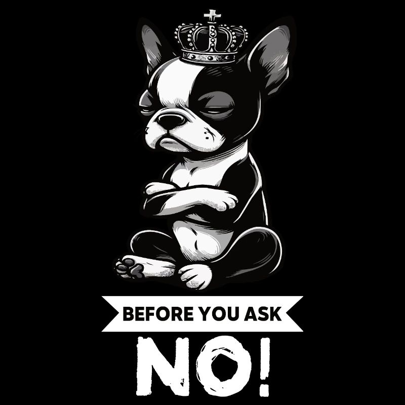 Before You Ask Boston Boston terrier Bostie Bosti
