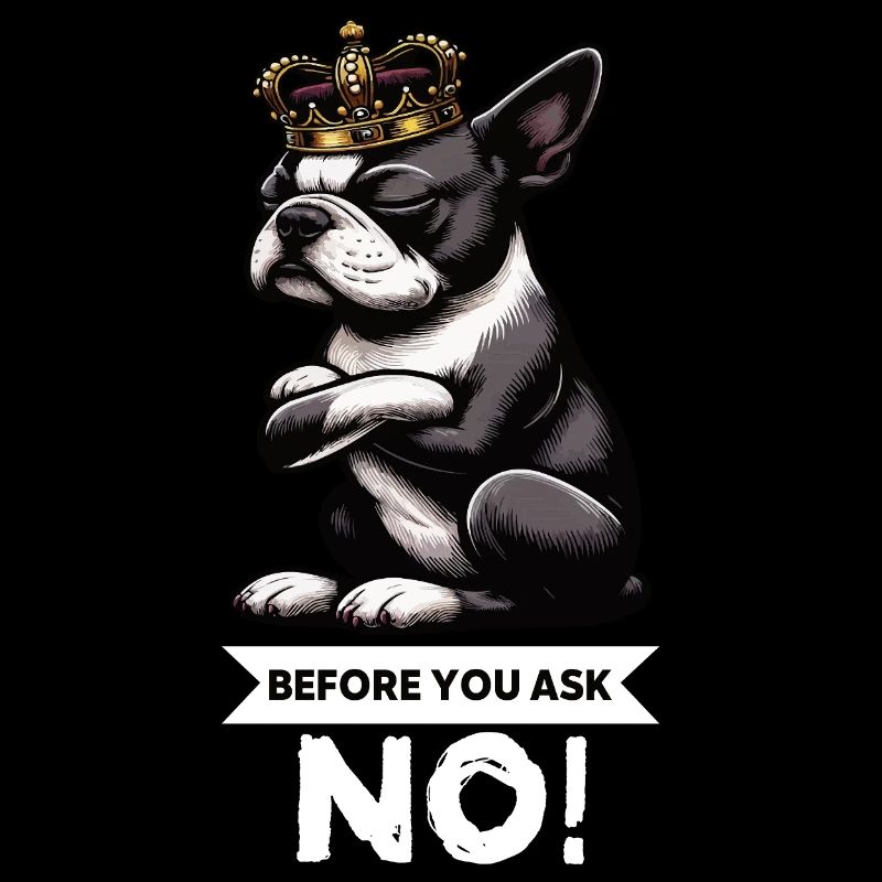 Before You Ask Boston Boston terrier Bostie Bosti