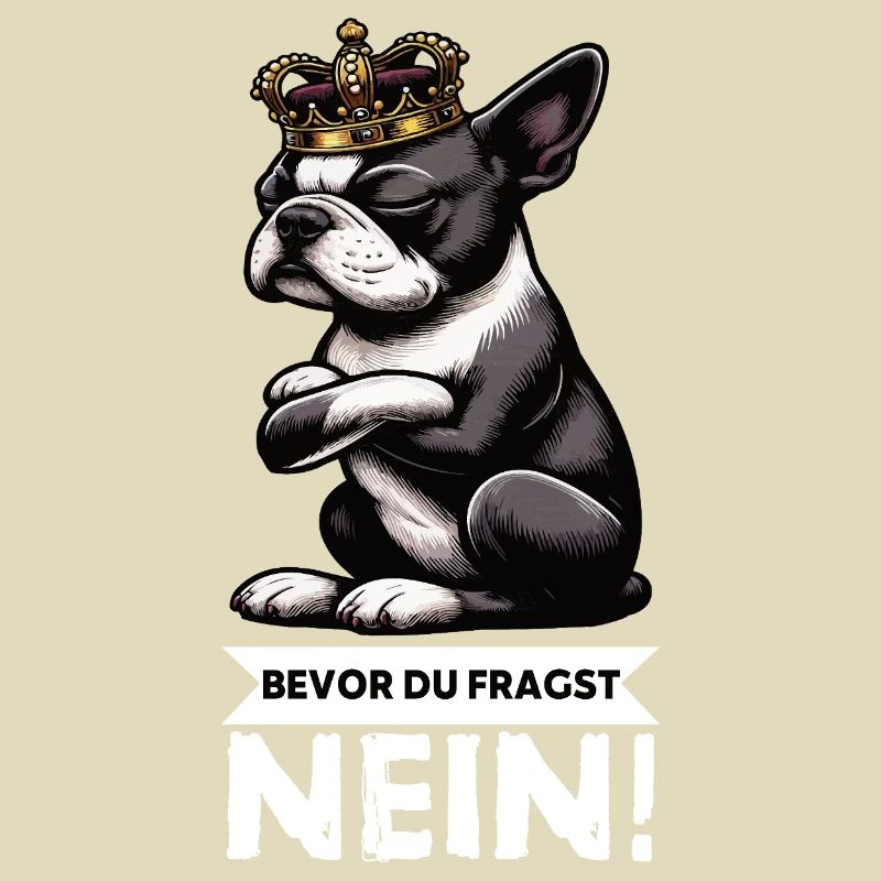Before You Ask Boston Boston Terrier Bostie Bosti