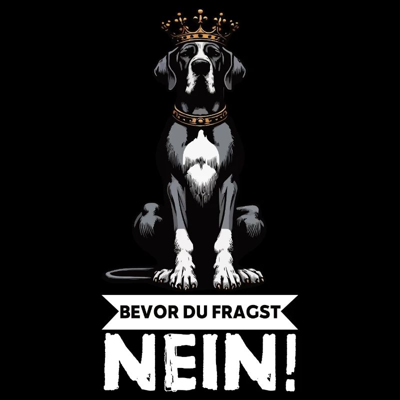 Before you ask Great Dane Great Dane owner