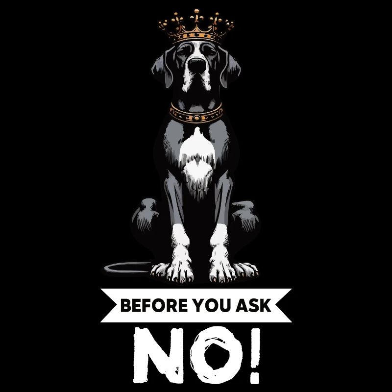 Before You Ask Great Dane Great Dane Owner