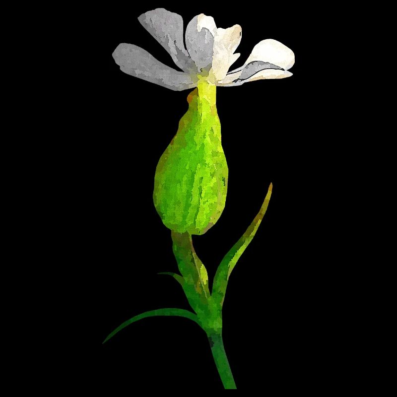 gartenblume, blütendesigns