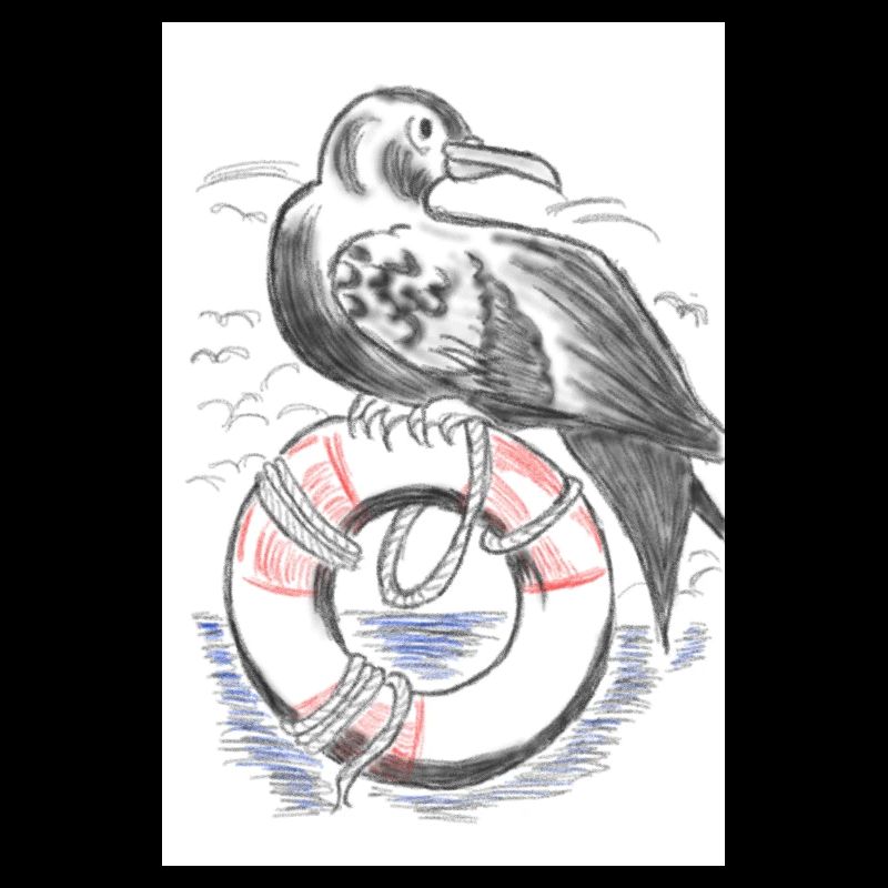 Gull
