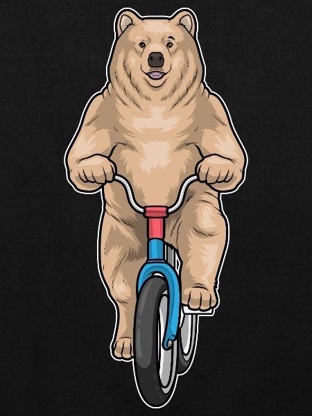 Bear Bicycle
