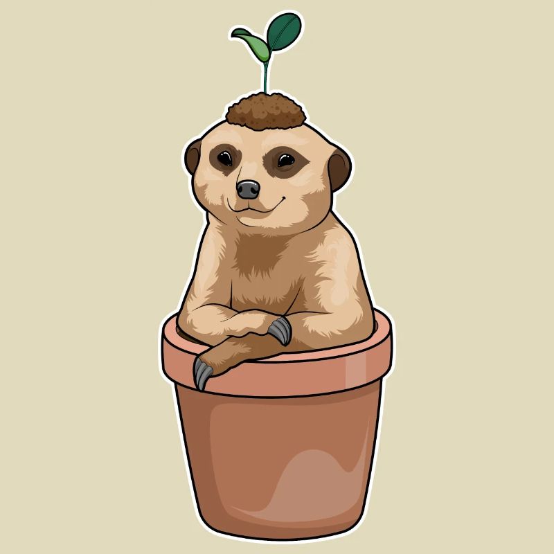 Erdmännchen Blumentopf Pflanze