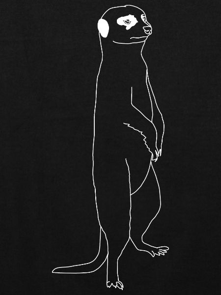 Lineart suricate