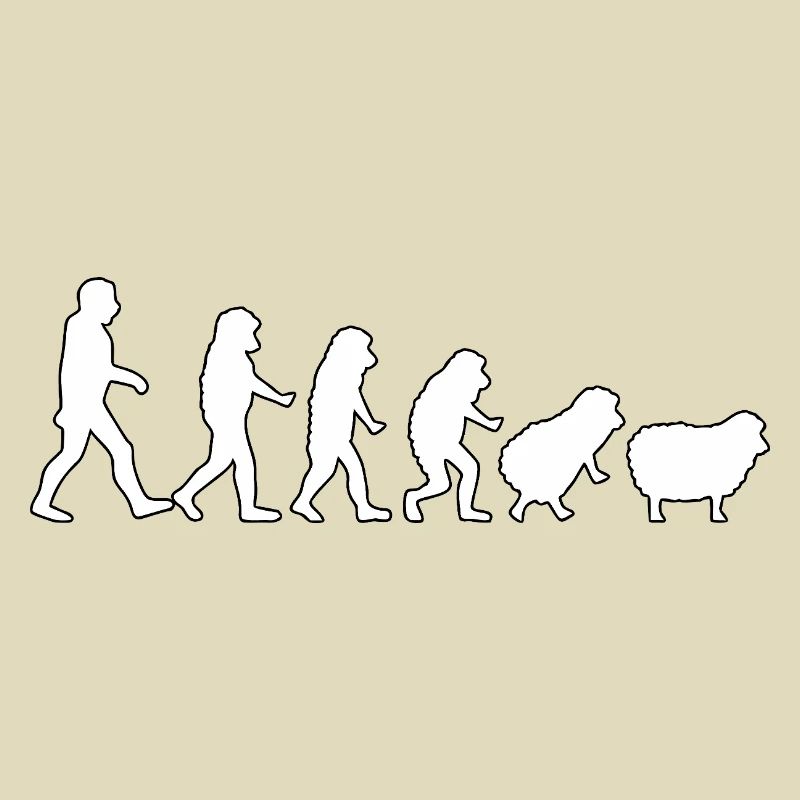 Evolution zum Schaf: Herdendenkweise