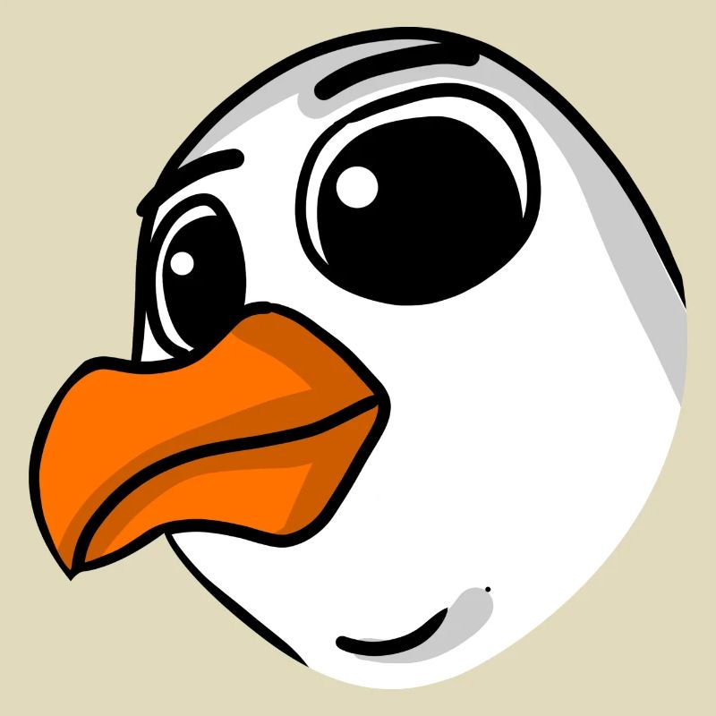 Möwe Kopf