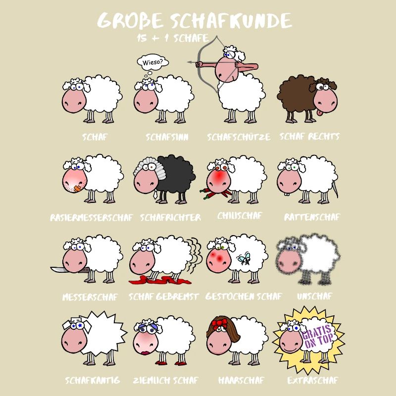 Excellente connaissance des moutons