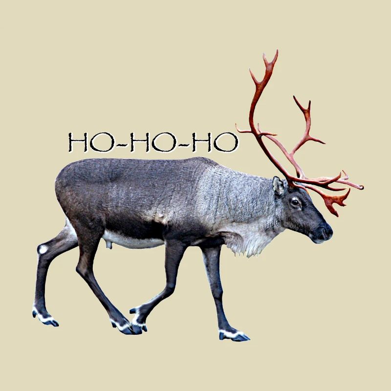 HOHOHO