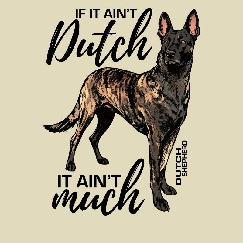 Dutchie - Holländischer Schäferhund