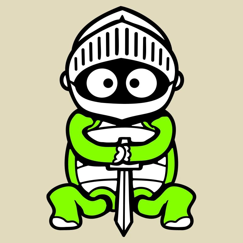 Turtle Knight Sword Fighter Armor Helmet